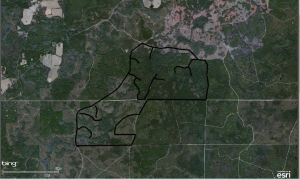 Here is the 2,000 acres of land we are looking to lease.   